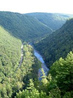 Pine Creek gorge