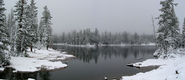 Butterfly Lake