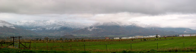 Behind Max's farm
