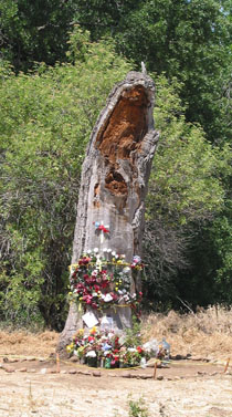 The "Virgin of Piedra"