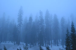 Lassen Morning