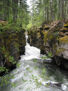 Rogue River Gorge