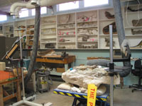 Paleontology laboratory