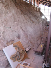The Dinosaur Quarry Rock Face