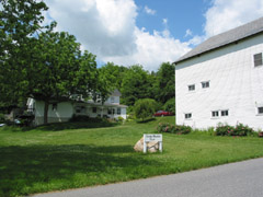 Dave and Diane's Farm