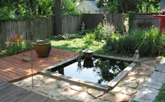 Koi Pond