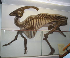 Hadrosaur