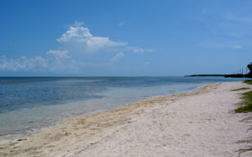Beach at Little Duck Key