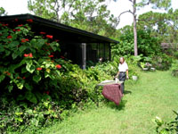 Barb's Jungle