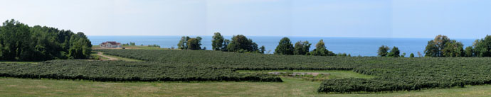 Pennsylvania Wine Country